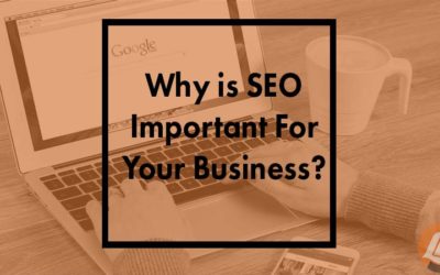 Why Is SEO Important For Your Business?